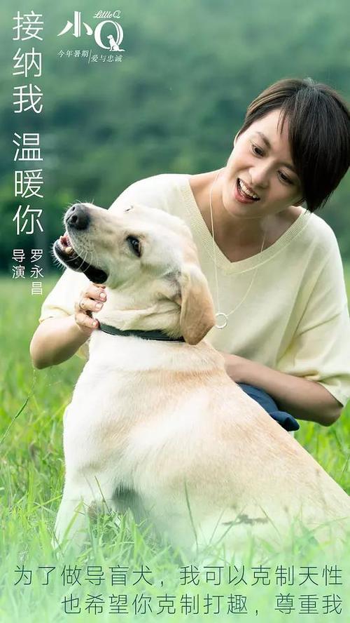 香港办毕业证